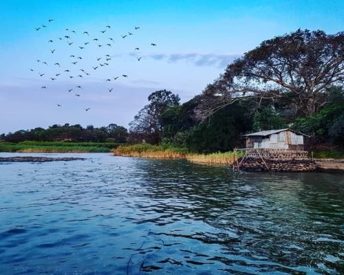 Lake Tana
